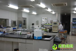 養樂多工廠體驗 健康科普與親子休閑的完美融合