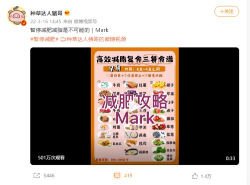 西瓜微數產品實用手冊 功能大全與數字內容制作服務福利詳解