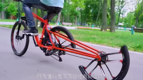 三分之一輪胎自行車(chē)